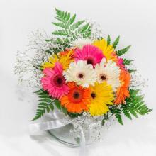 Bunch of 12 Mixed Gerberas